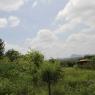 1-RAMNAGAR-VISIT_Photo_1021_IMG_4449_CMP_WM
