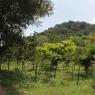 1-RAMNAGAR-VISIT_Photo_1023_IMG_4451_CMP_WM