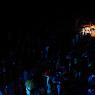 IMG_2148_CMP_WM_batch