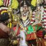 4-Swayumbhu-Linga-Abhisekam_Photo_1095_7T7A9404_CMP_WM