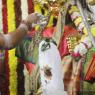 4-Swayumbhu-Linga-Abhisekam_Photo_1101_7T7A9412_CMP_WM