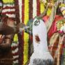 4-Swayumbhu-Linga-Abhisekam_Photo_1103_7T7A9438_CMP_WM