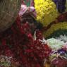 JAYANTI-BRAHMOTSAVAM-2013_Photo_1102_IMG_9053_CMP_WM