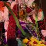 01-AvanthiHoma-Pictures_Photo_1022_IMG_3568_CMP_WM