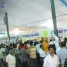 DSC_2872_CMP_WM