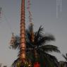 DSC_3782_CMP_WM