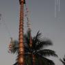 DSC_3784_CMP_WM