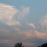 DSC_4104_CMP_WM