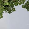 DSC_3539_CMP_WM