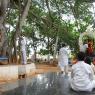 03-Banyan Tree