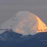 2011-Aug-06-AFP-10175