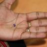 IMG_2682_CMP_WM