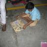 IMG_2002_CMP_WM