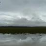 P1020320_CMP_WM