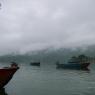 P1030458_CMP_WM