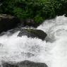 P1030610_CMP_WM