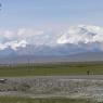 P1040035_CMP_WM