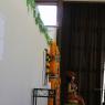 IMG_6442_CMP_WM