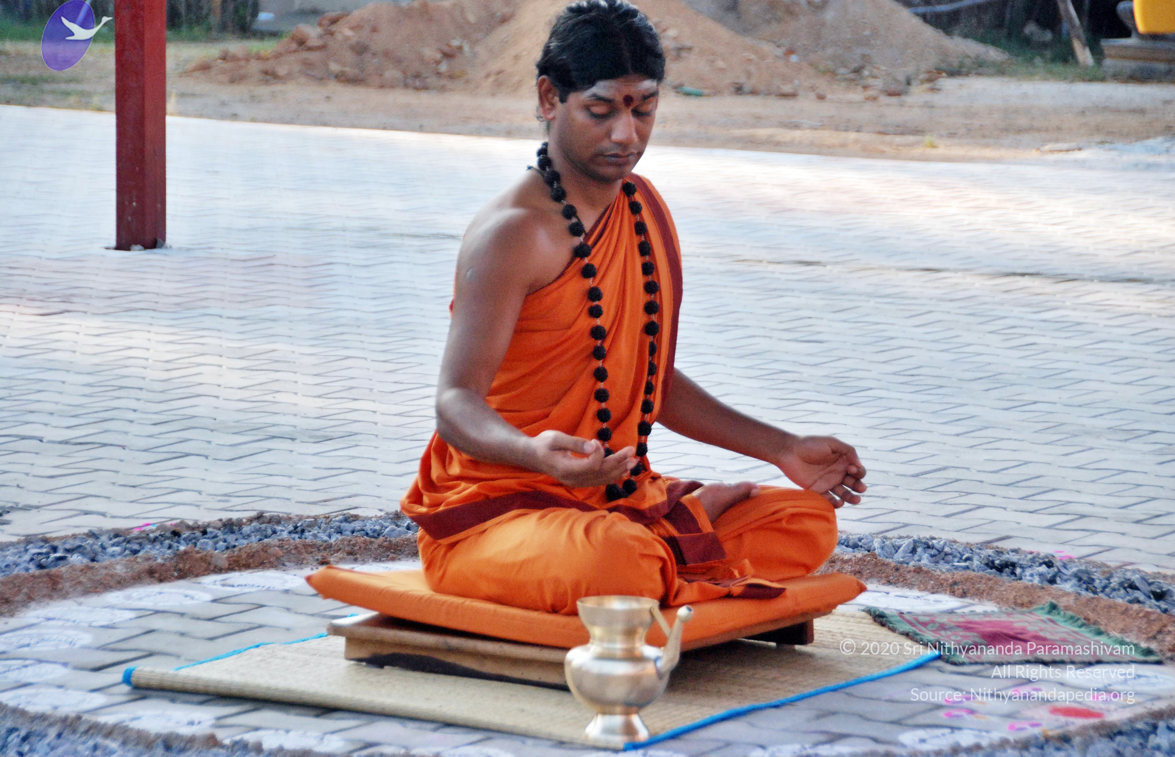 20110126_Photo_1017_DSC_5443_CMP_WM