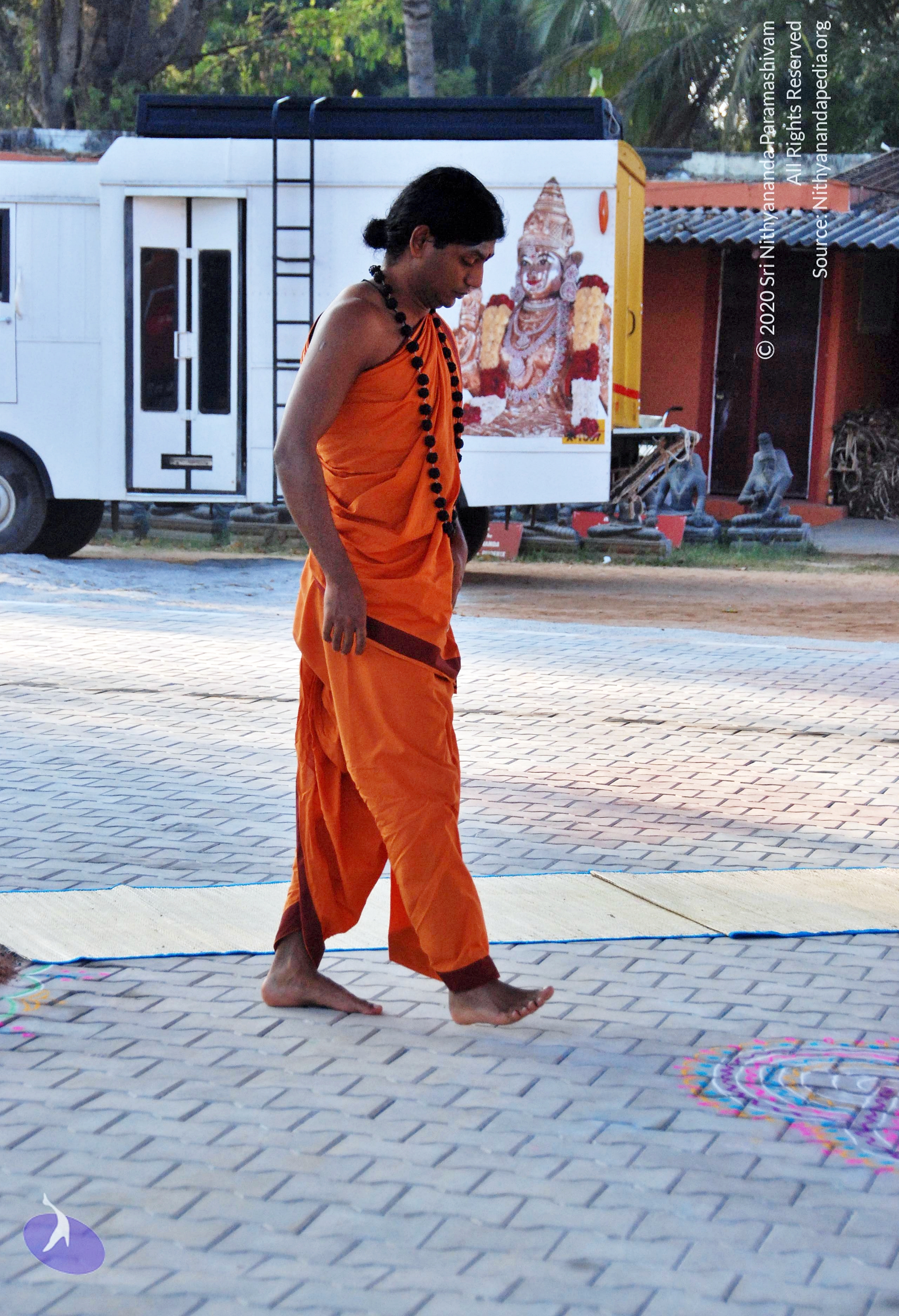 20110126_Photo_1001_DSC_5448_CMP_WM