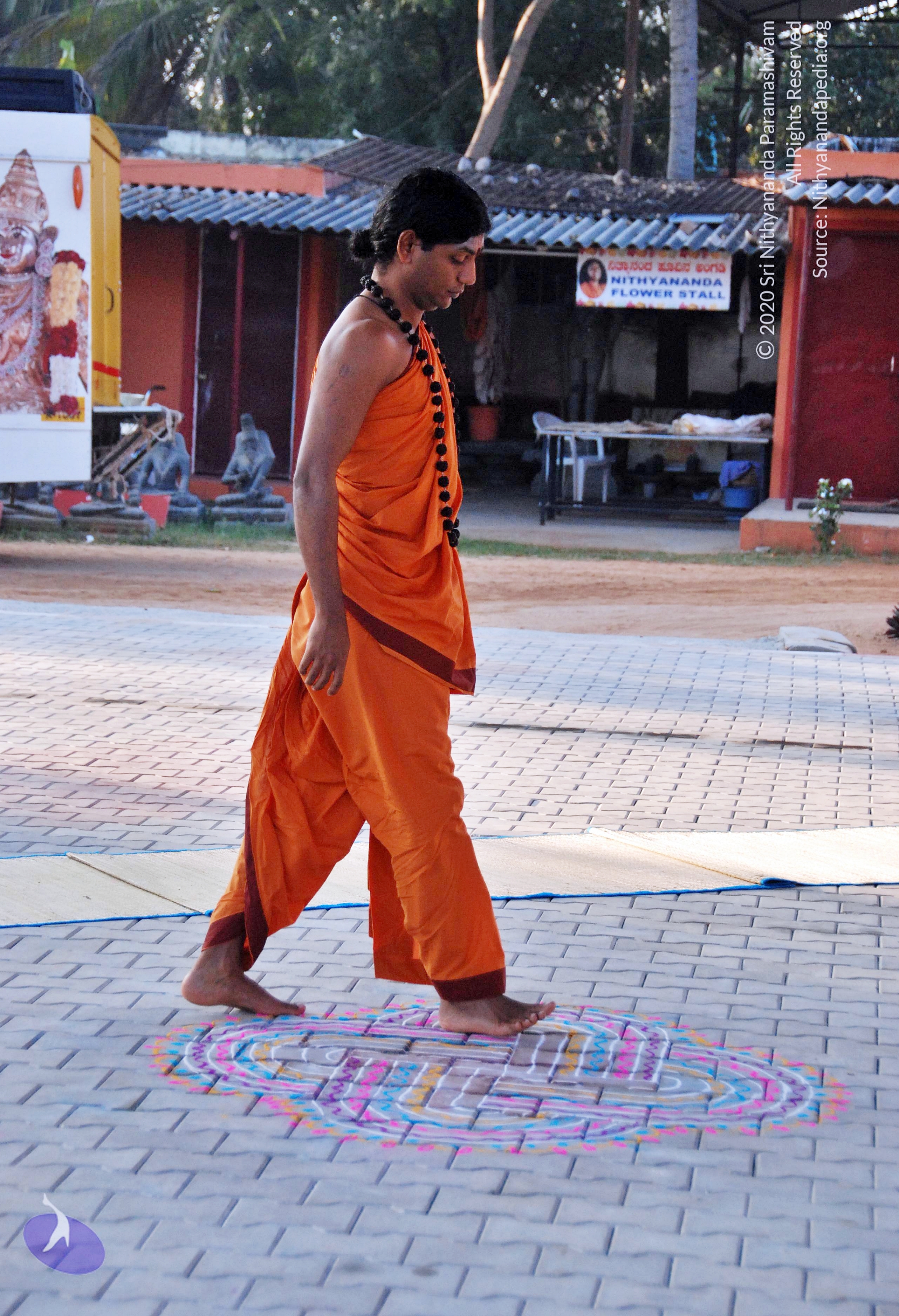 20110126_Photo_1012_DSC_5450_CMP_WM