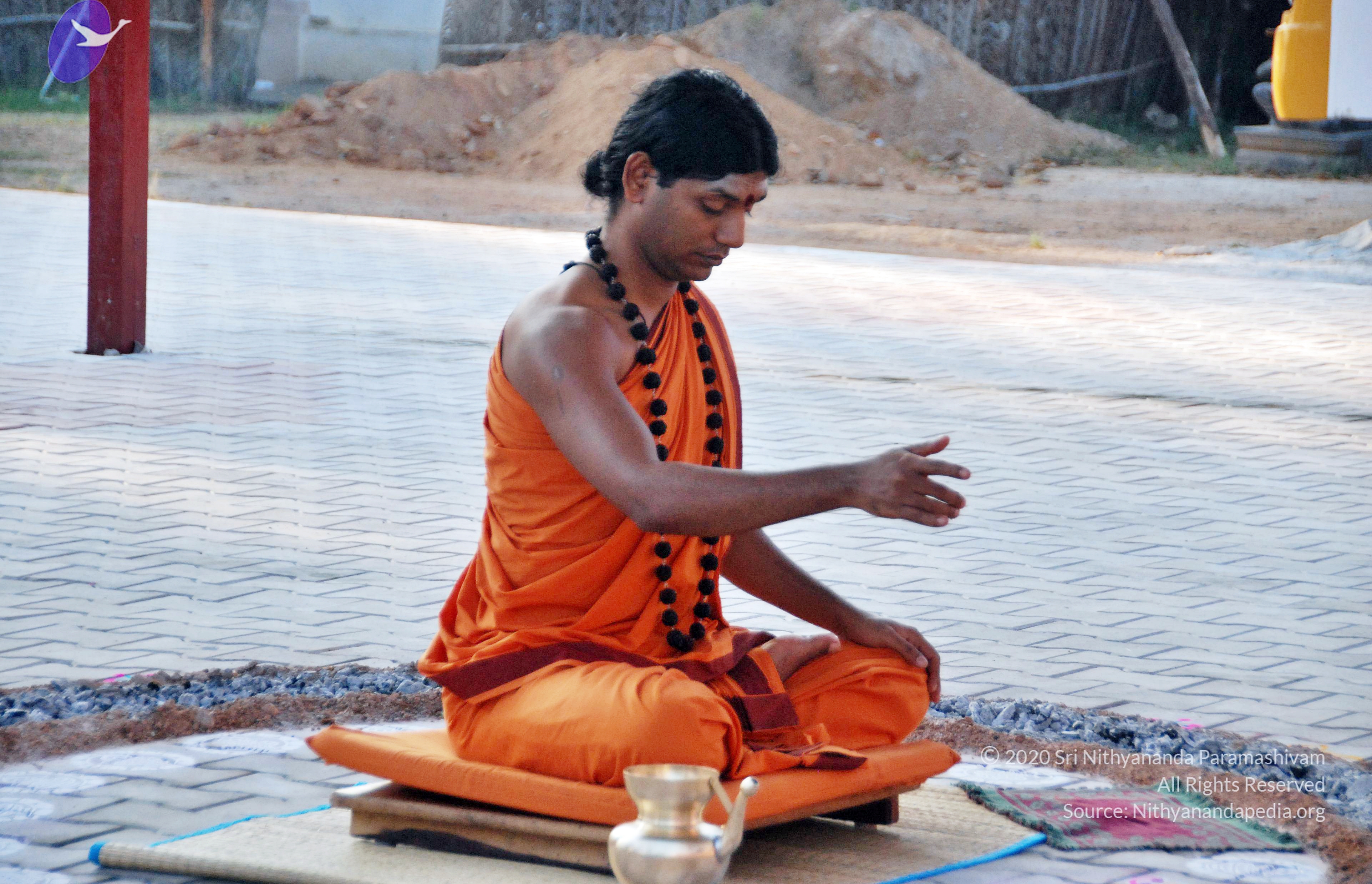 20110126_Photo_1016_DSC_5444_CMP_WM