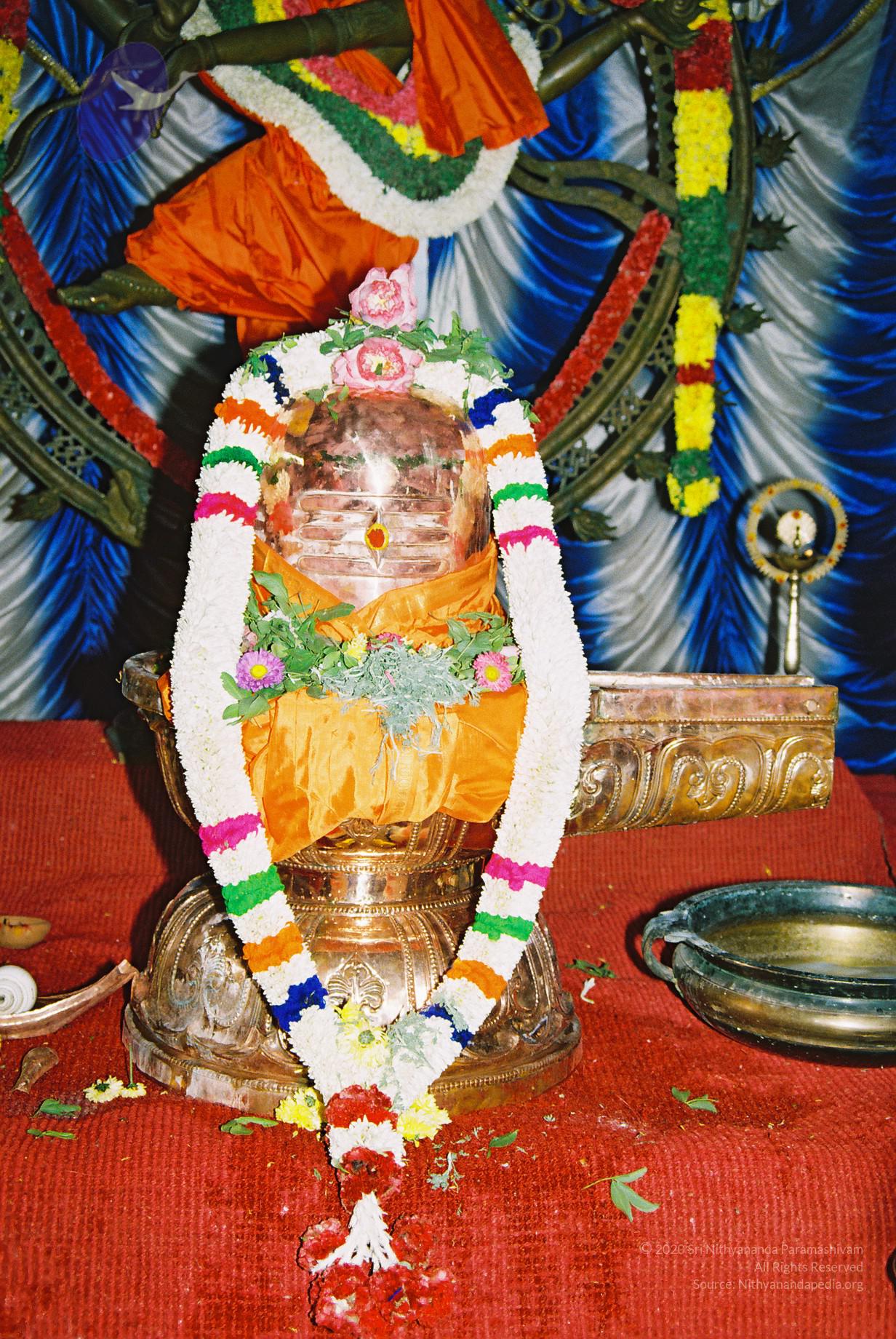 20030301_Photo_1009_F1260002_CMP_WM