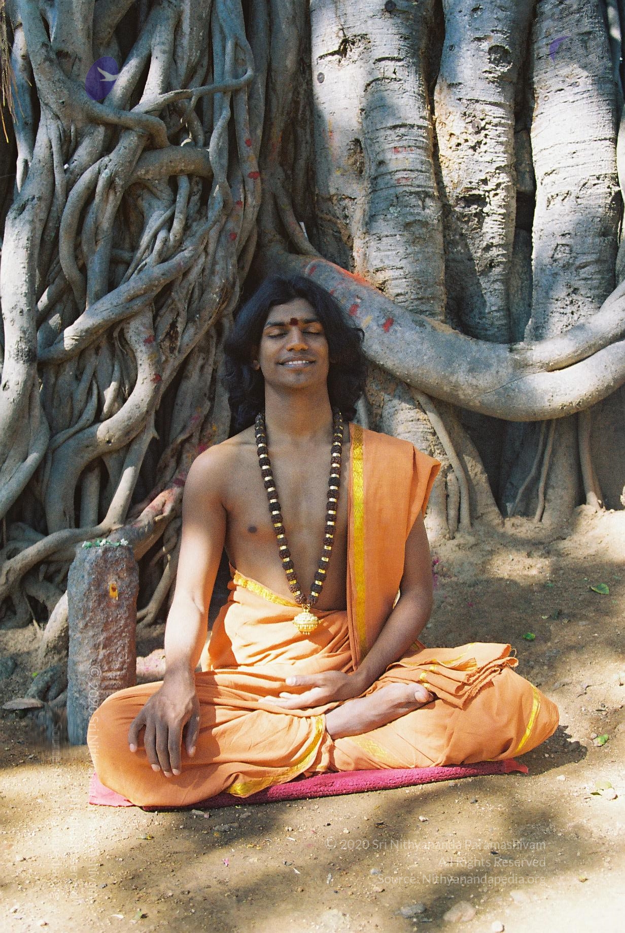 20031031_Photo_1000_F1100009_CMP_WM