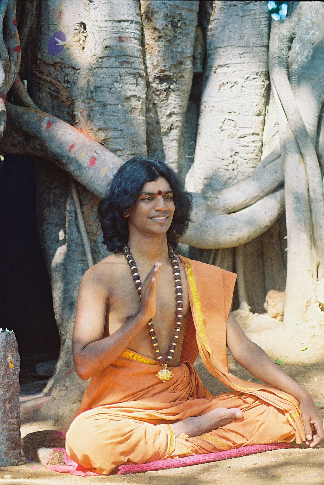 20031031_Photo_1001_F1100015_CMP_WM