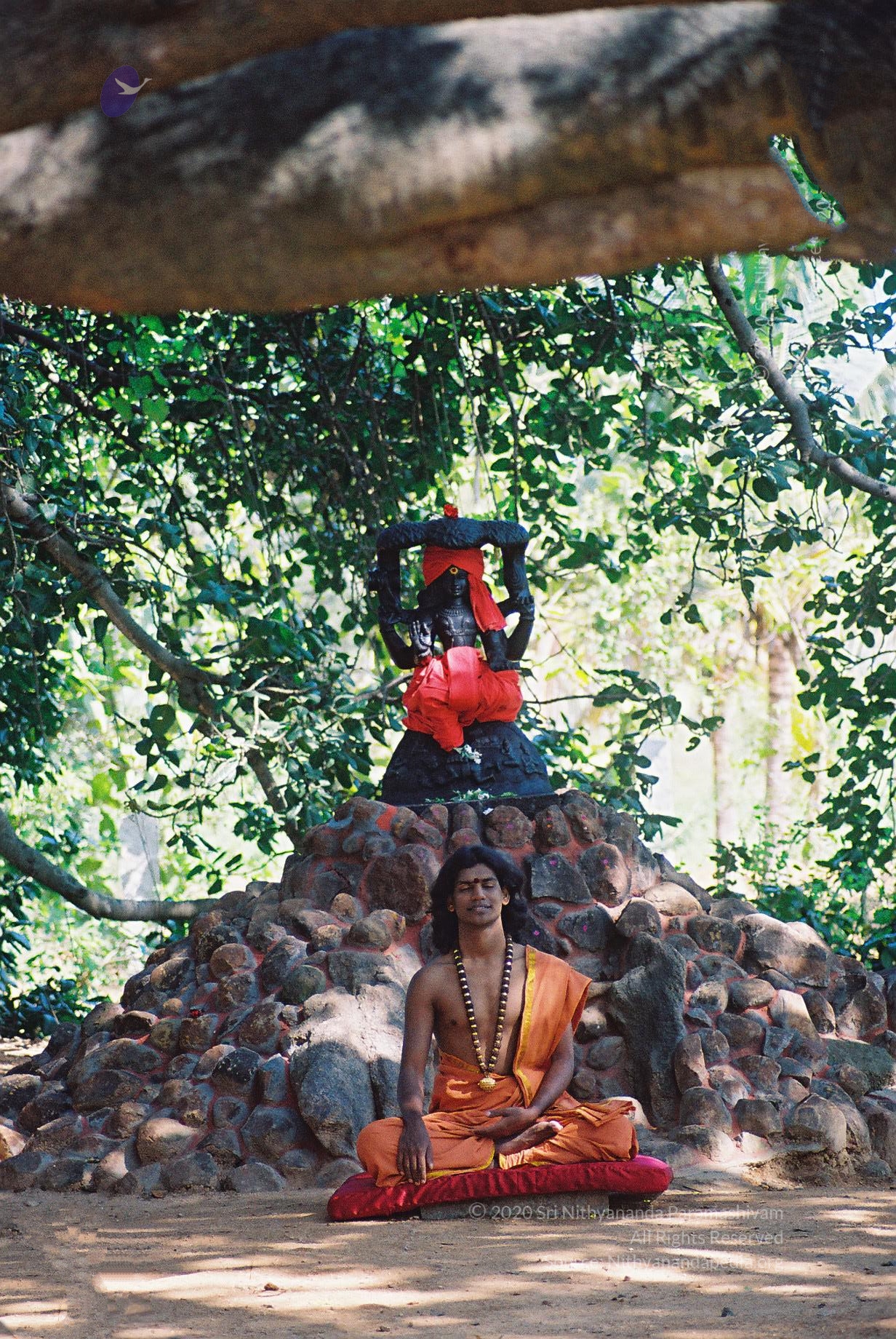 20031031_Photo_1002_F1100022_CMP_WM