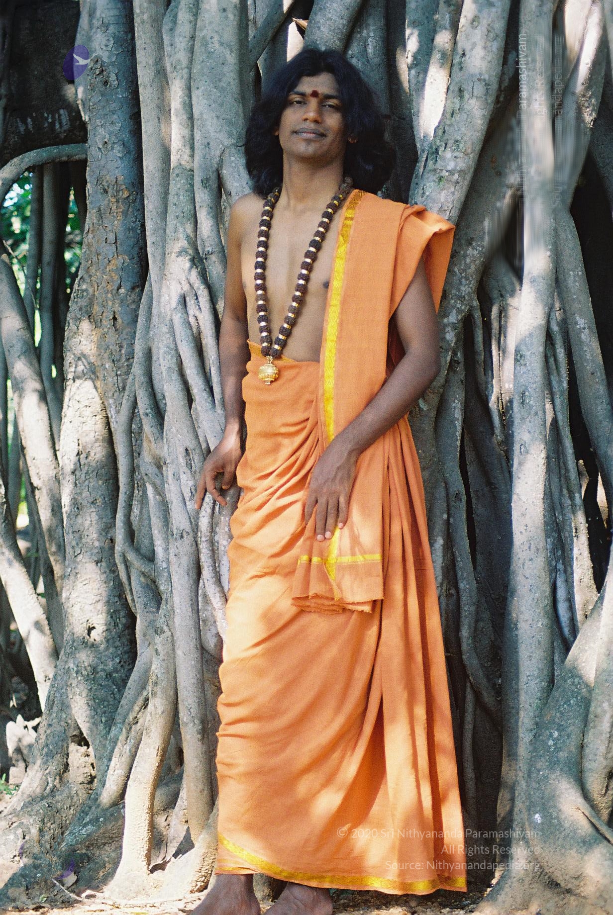 20031031_Photo_1005_F1100001_CMP_WM