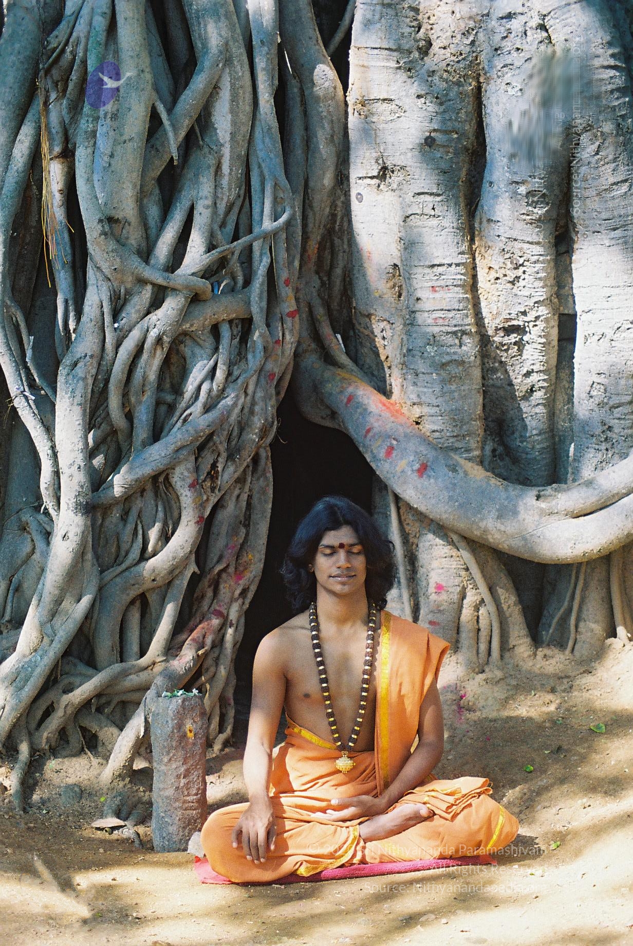 20031031_Photo_1007_F1100010_CMP_WM