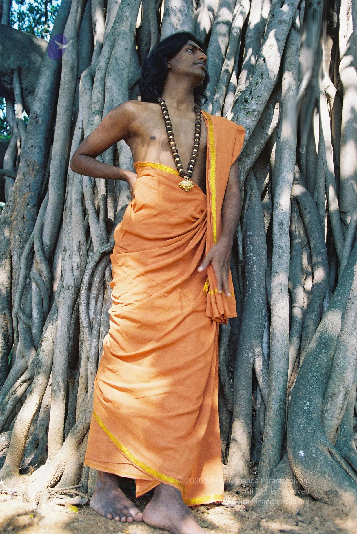 20031031_Photo_1010_F1100006_CMP_WM