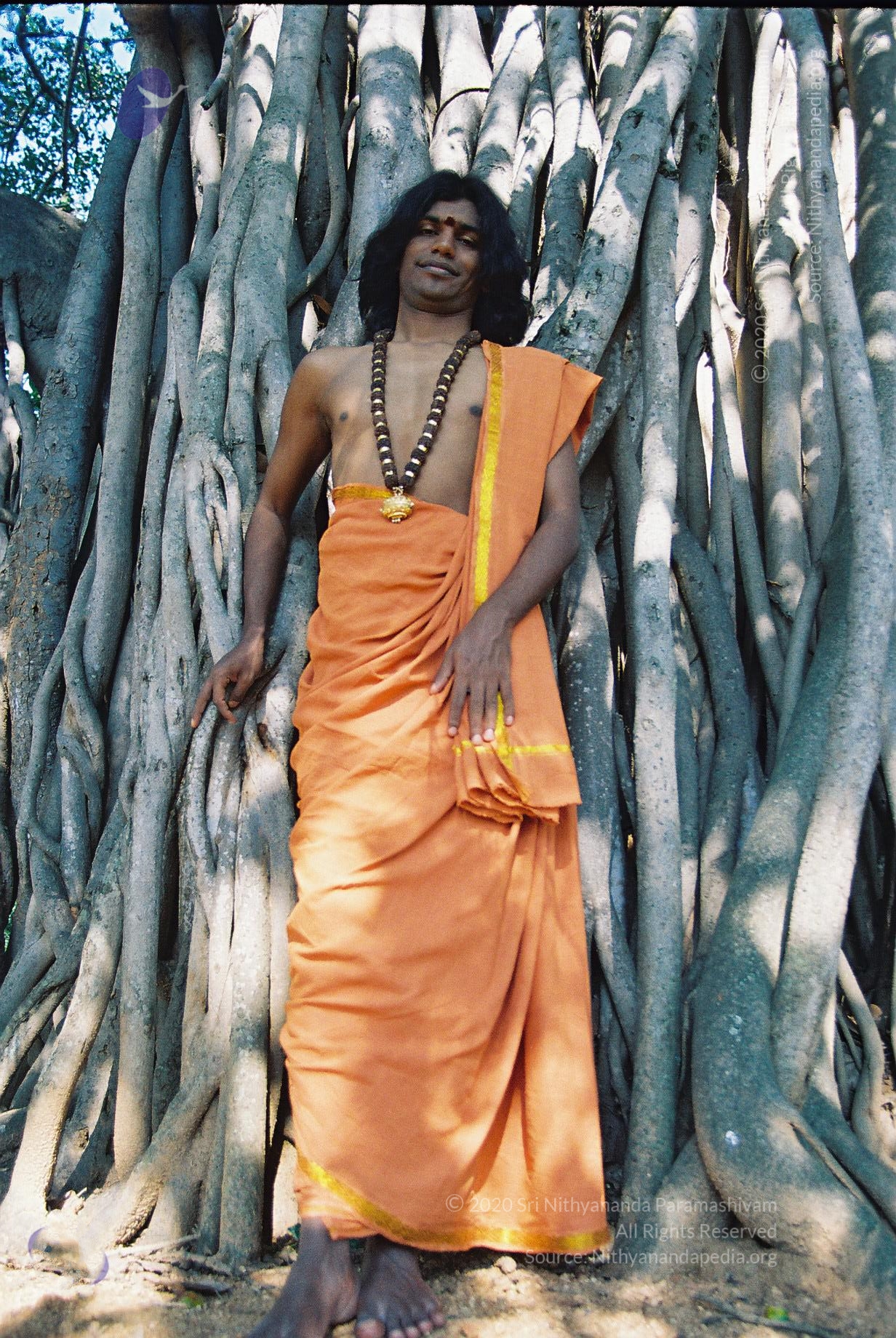 20031031_Photo_1012_F1100003_CMP_WM