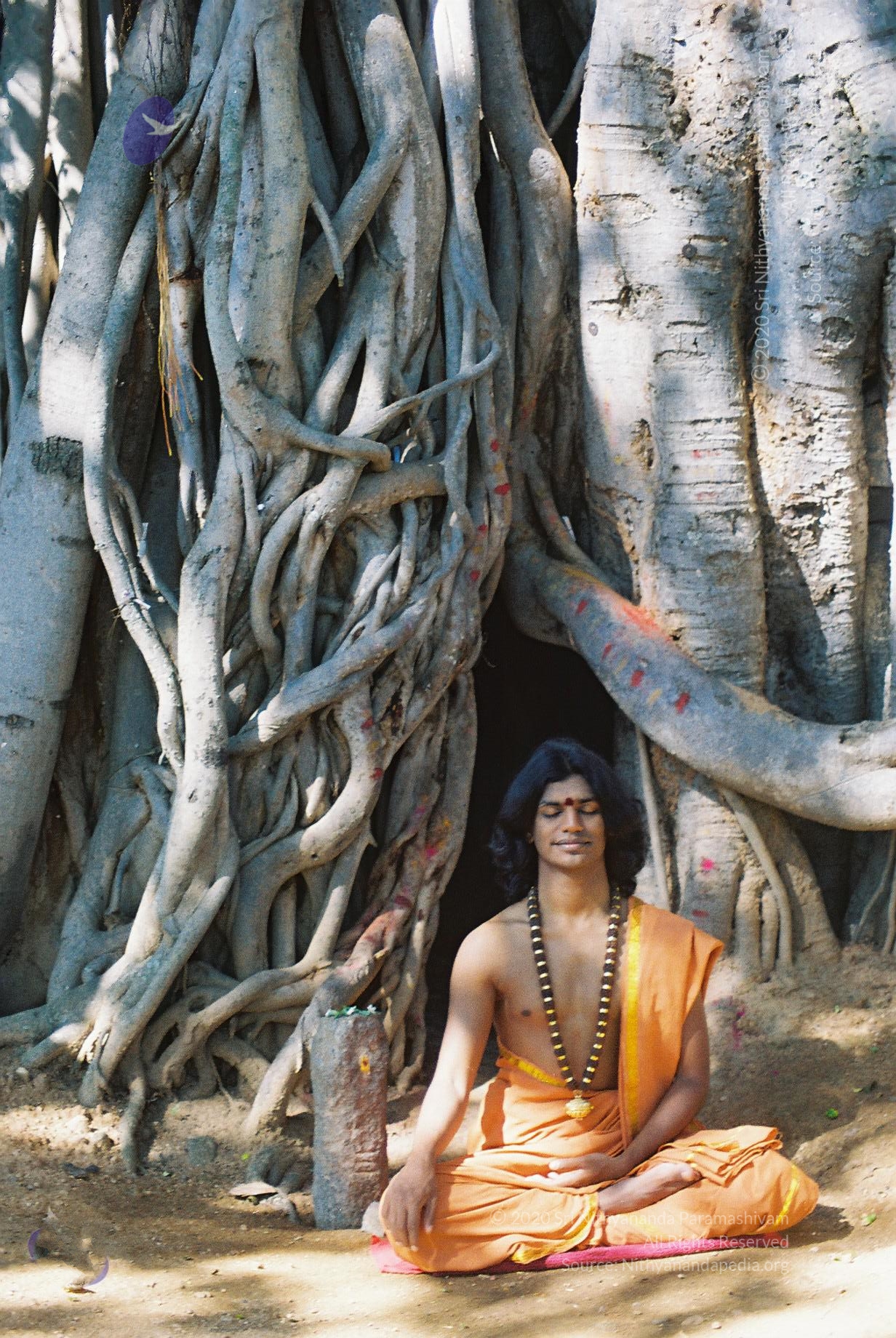 20031031_Photo_1013_F1100012_CMP_WM