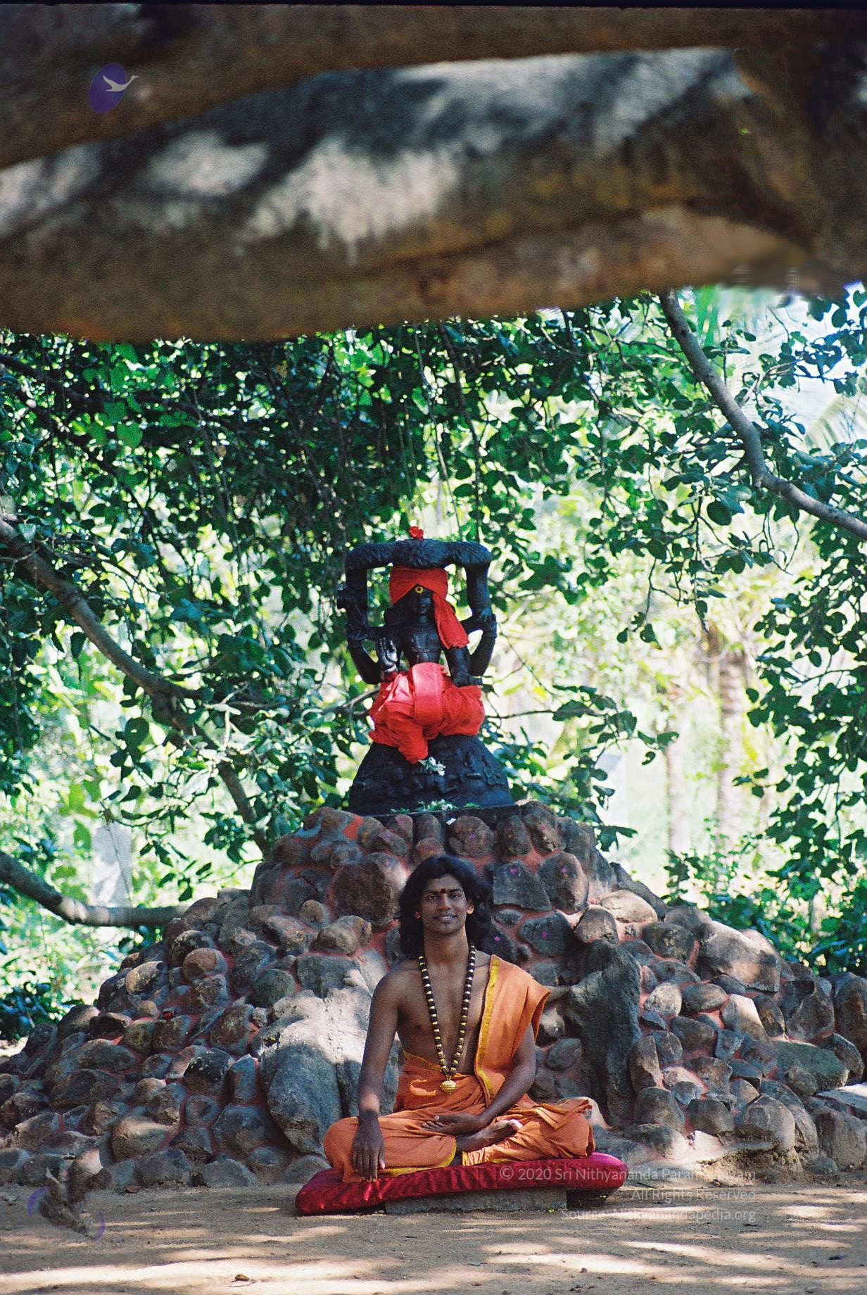 20031031_Photo_1014_F1100025_CMP_WM