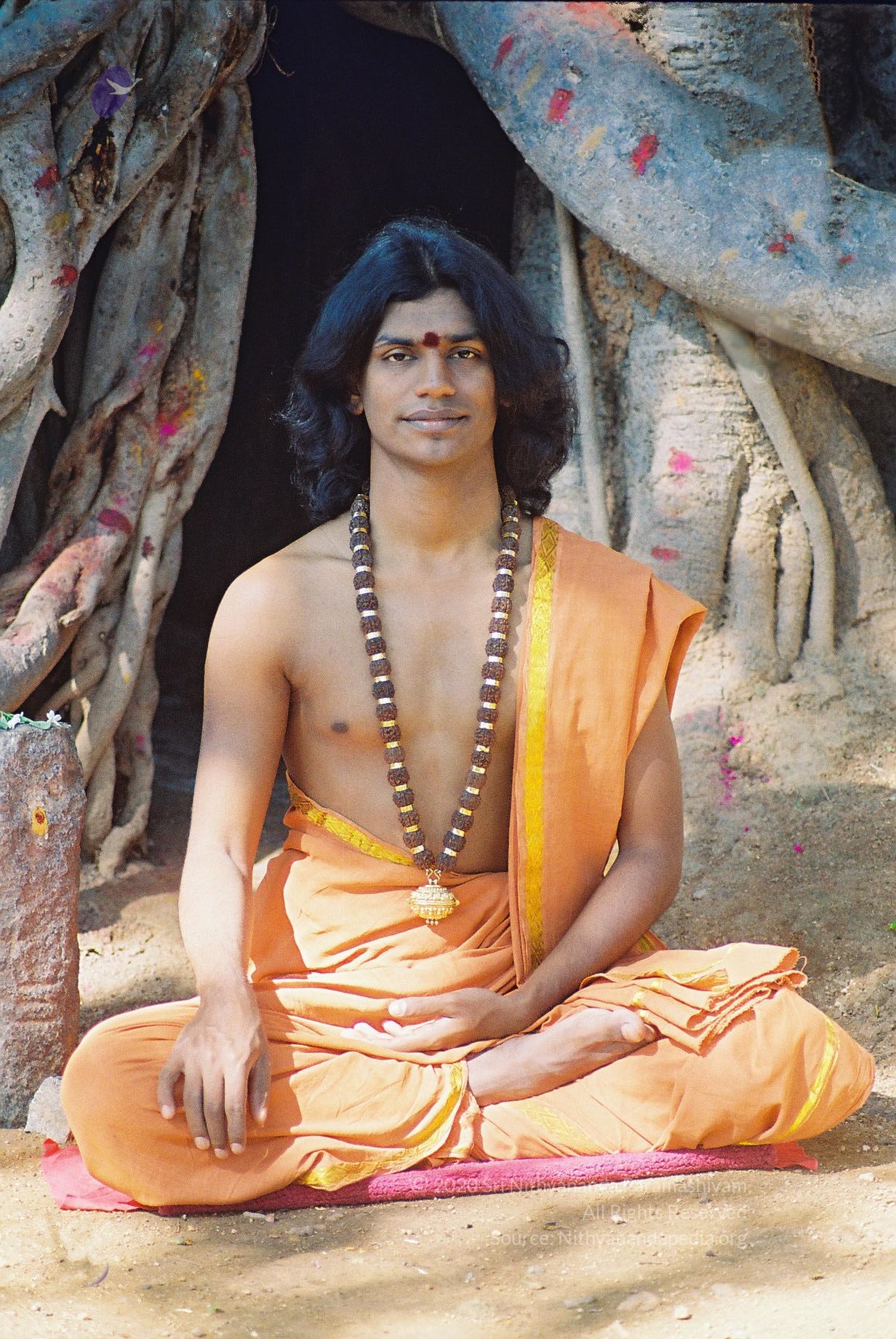 20031031_Photo_1016_F1100011_CMP_WM