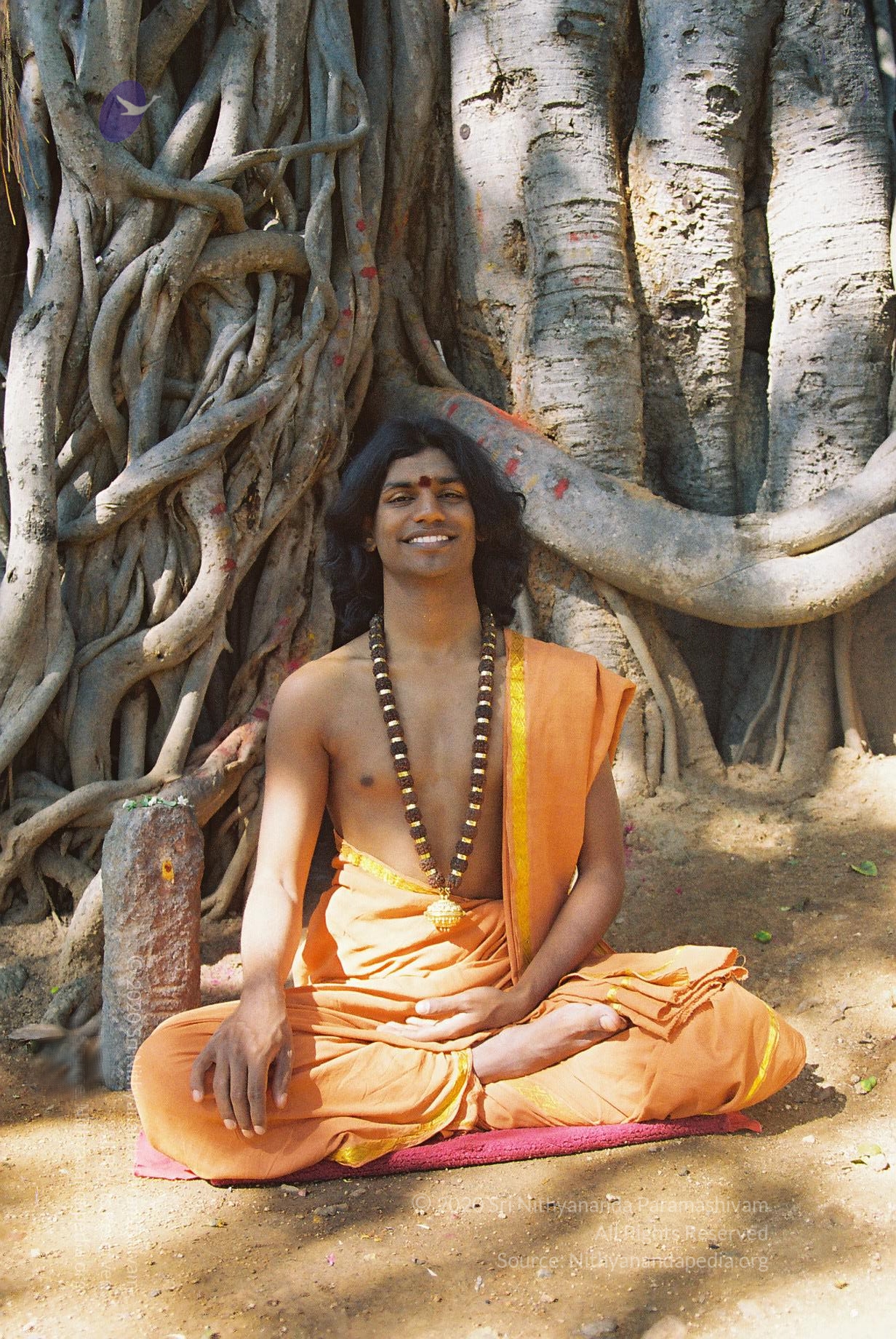 20031031_Photo_1017_F1100008_CMP_WM