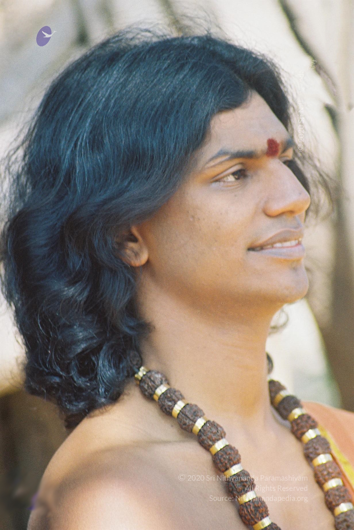 20031031_Photo_1018_F1100014_CMP_WM