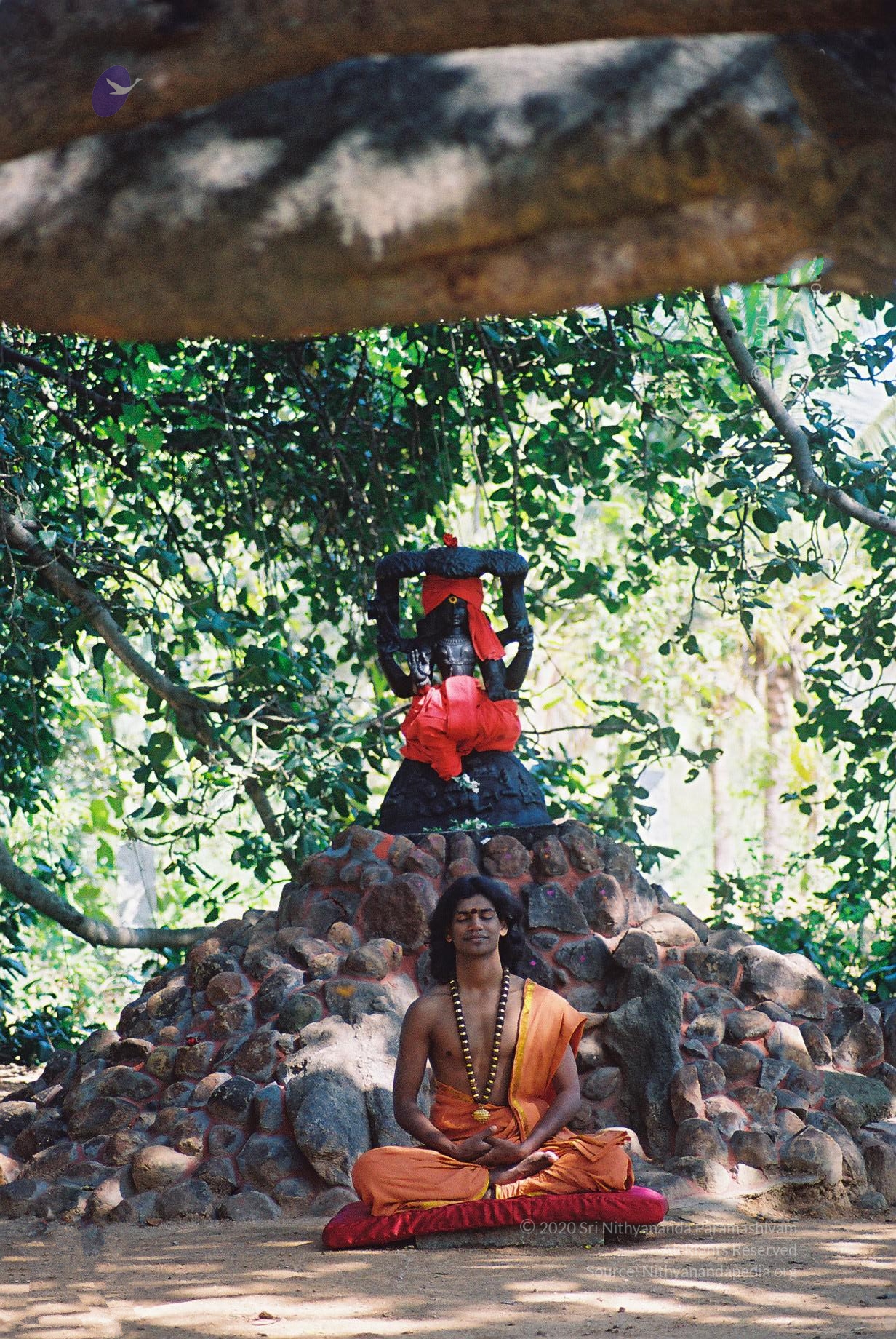 20031031_Photo_1019_F1100023_CMP_WM