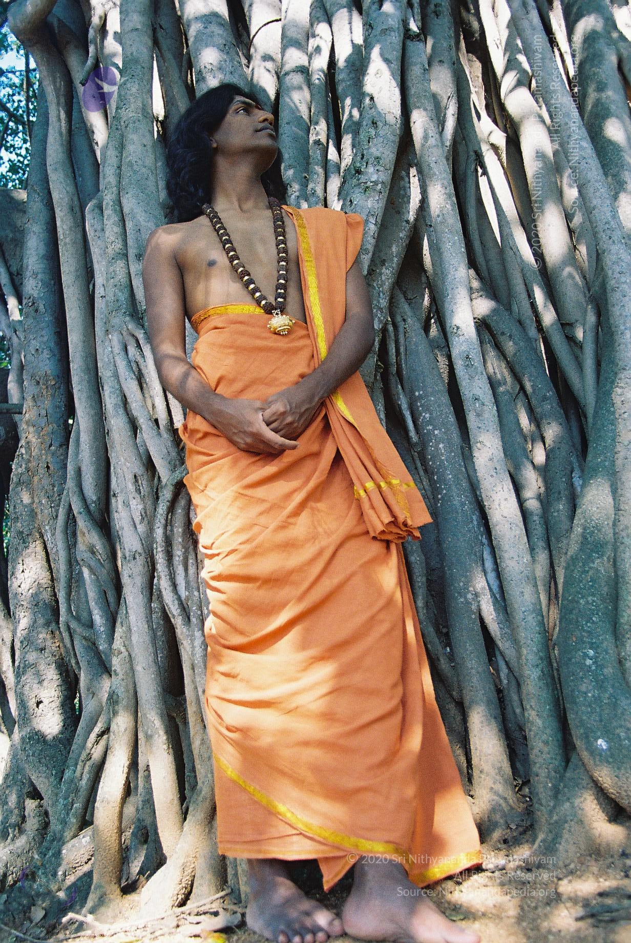 20031031_Photo_1020_F1100005_CMP_WM