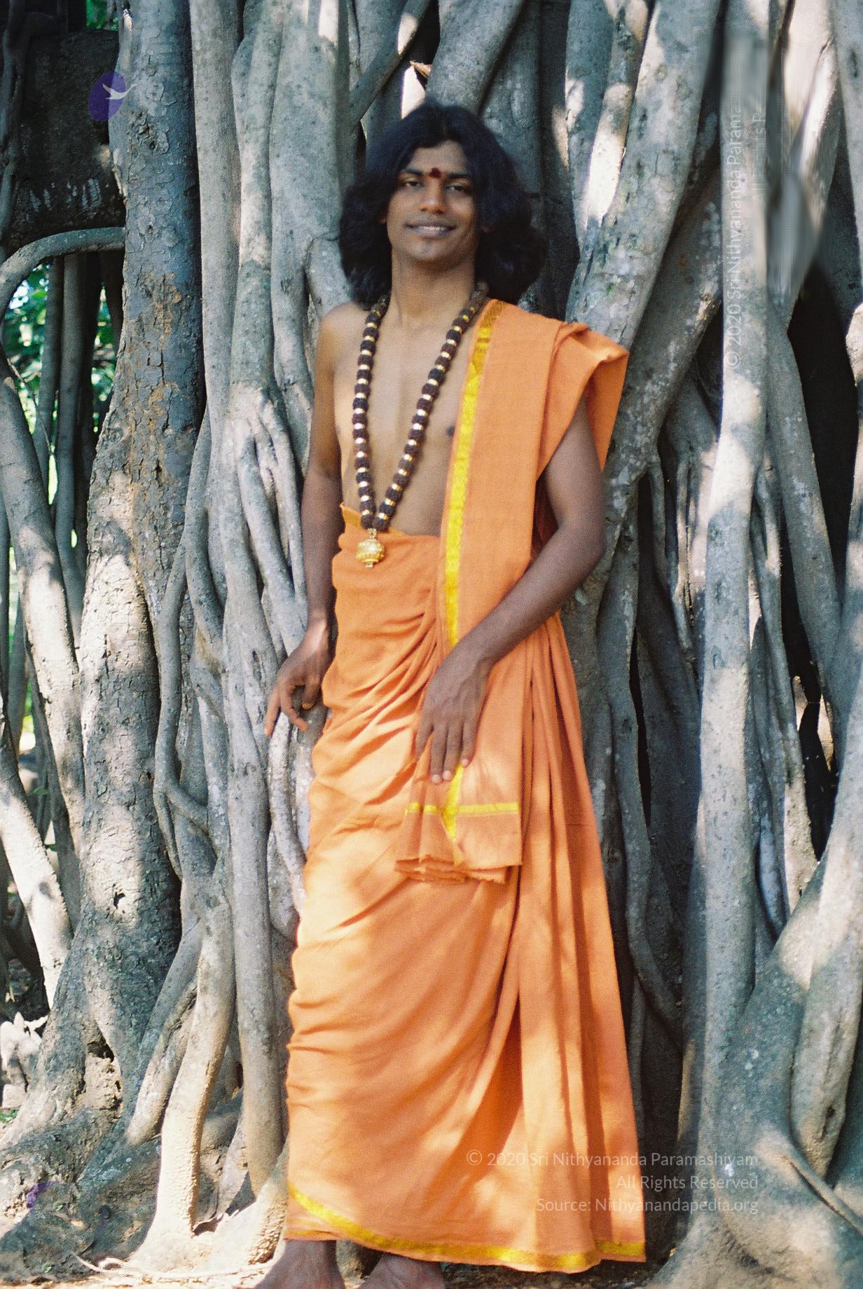 20031031_Photo_1022_F1100002_CMP_WM