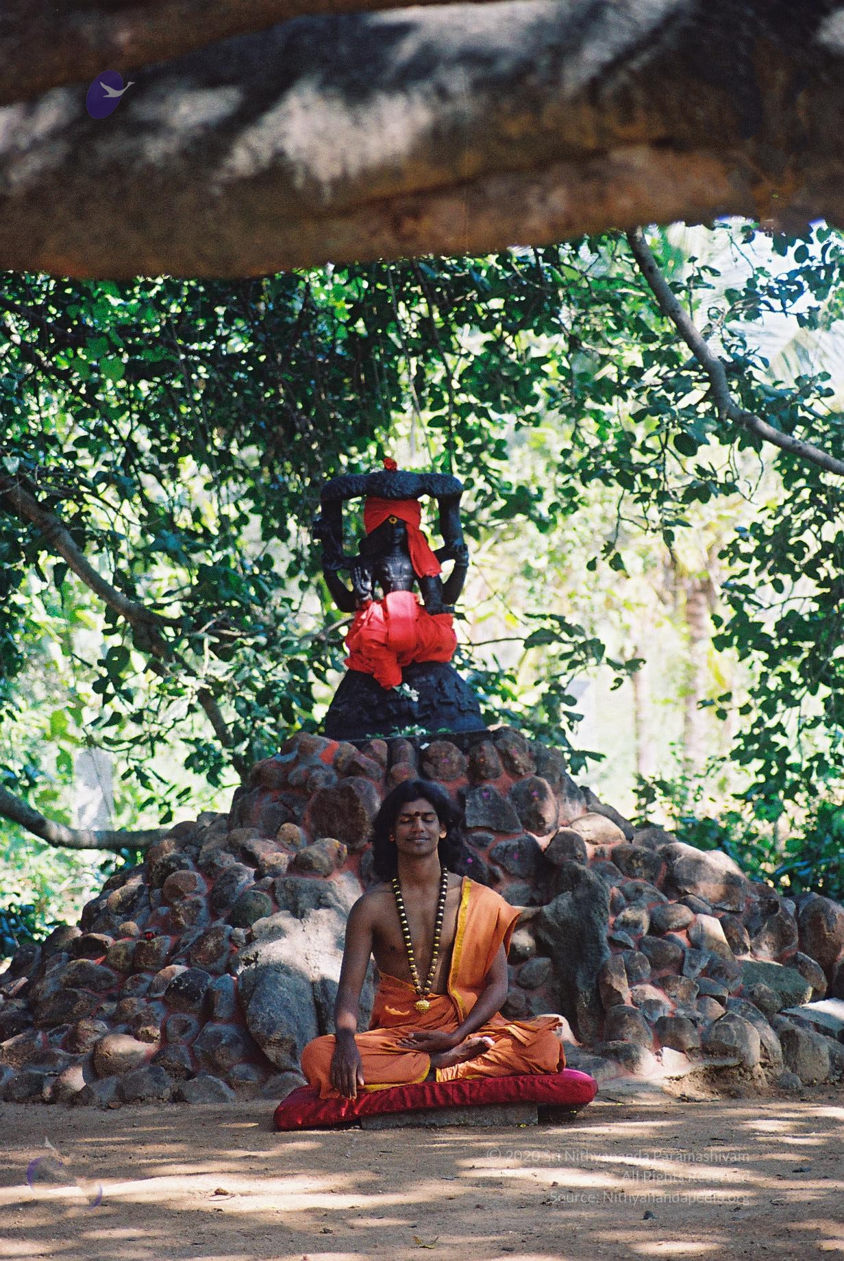 20031031_Photo_1024_F1100024_CMP_WM