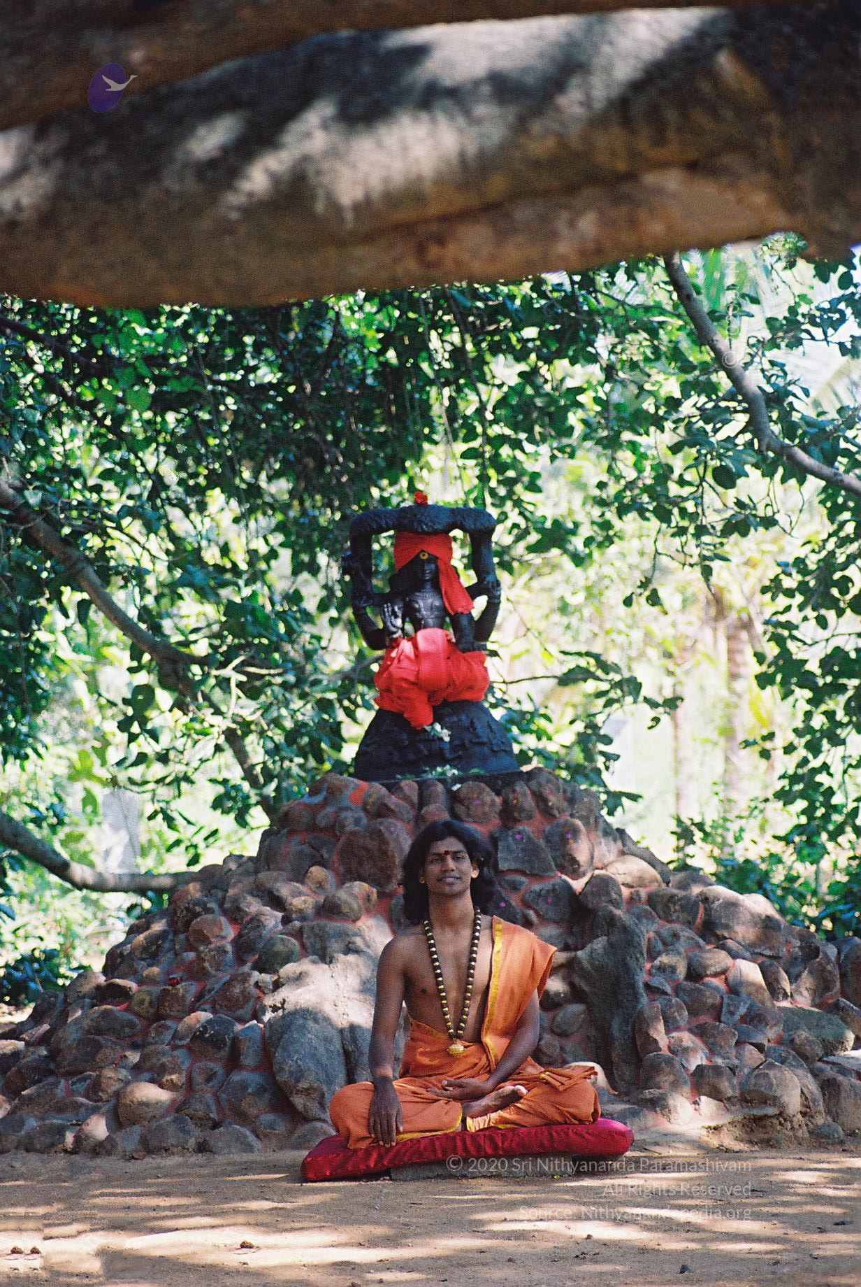 20031031_Photo_1025_F1100021_CMP_WM