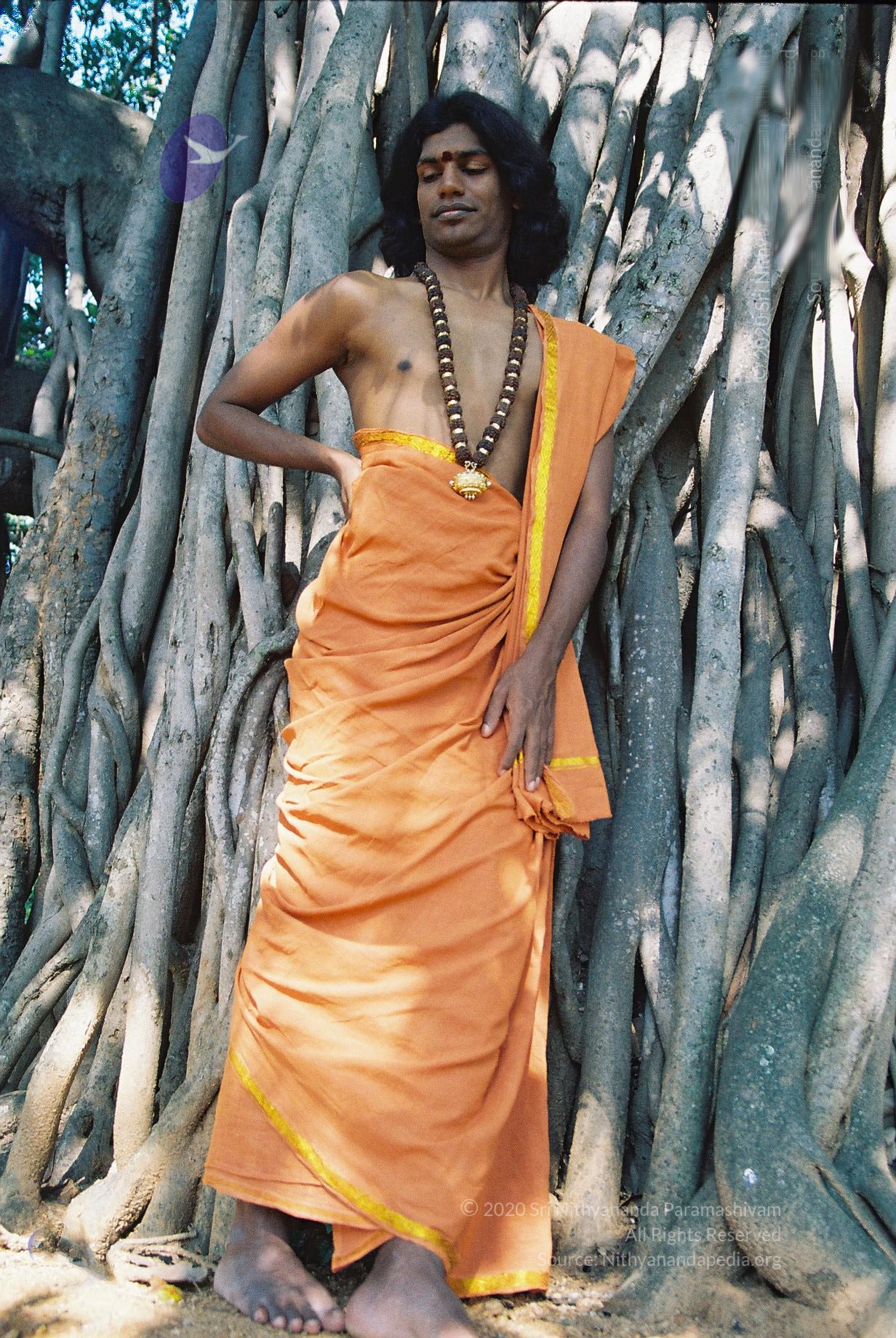 20031031_Photo_1027_F1100007_CMP_WM