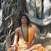 20031031_Photo_1000_F1100009_CMP_WM