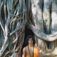 20031031_Photo_1007_F1100010_CMP_WM