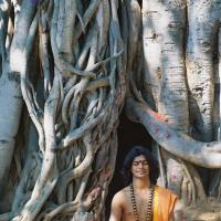 20031031_Photo_1013_F1100012_CMP_WM