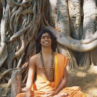 20031031_Photo_1017_F1100008_CMP_WM