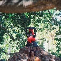 20031031_Photo_1019_F1100023_CMP_WM